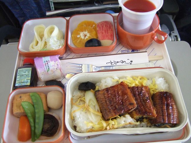 エジプトでの食事を紹介します。<br />エジプト料理はトルコ料理をアレンジしたものだそうですが、やはり中近東。近郊の国と食べ物は似ています。<br />エジプトでは鳩の肉を食べますが、今回は食べれませんでした。<br />飛行機がエジプト航空だったので、機内食も含めて紹介します。