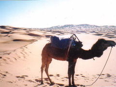 モロッコで砂漠