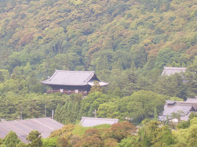 母、私、娘の女三人で梅雨の京都へ行ってきました。<br />