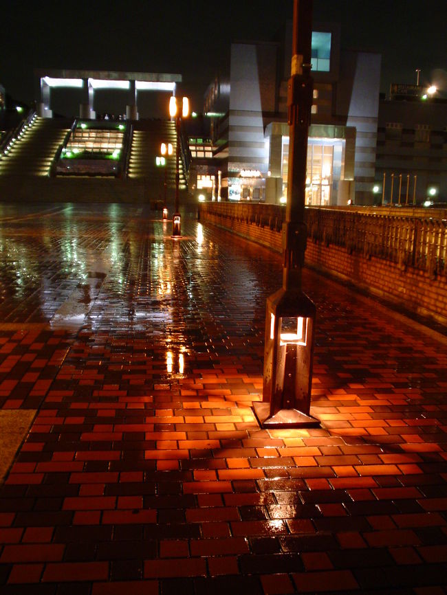 雨の夜