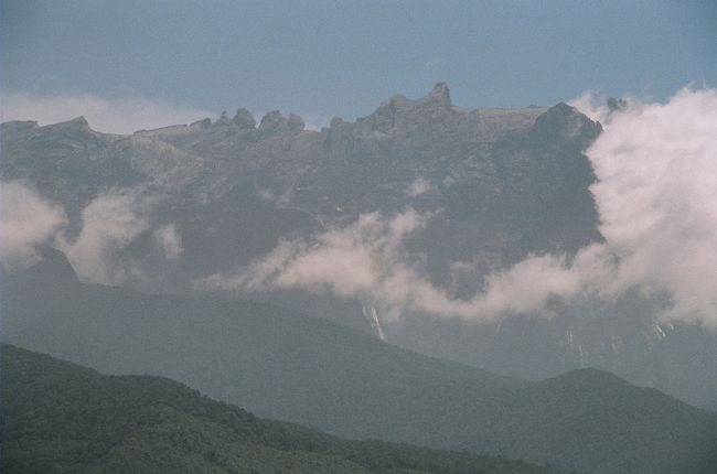 ８月８日<br />Exotic Borneo社の「MT. Kinabalu Poring Rainforest」ツアーでポーリン温泉とキナバル国立公園へ行きました。ツアーの参加者はオーストラリアから来た子連れの家族３人、オーストラリアから来た老夫婦が１組、イギリスからきた老夫婦が２組、日本からきたカップルが１組、イギリスから来たカップルが２組、日本からきた子連れの家族４人、韓国からきた子連れの家族４人、そして私達３人の総勢２６人。<br /><br />まずはバスに乗ってポーリン温泉を目指します。途中ラナウ近郊のタムー（というより「道の駅」みたいなところ）で２０分ほど休憩がありました。ここでは野菜、果物、お土産、ソフトドリンク、スナック類が売られています。トイレもありますが、入るのに勇気がいるような代物です。それでも料金はしっかり２０センかかります。<br /><br />休憩後またバスに乗り、ポーリン温泉に向かいます。ポーリン温泉につくとすぐキャノピー・ウォークに向かいました。途中、添乗ガイドによるこの土地の植物や昆虫の説明があります。我が家の子供はカブトムシを見ることを楽しみにしていたのですが、結局一匹も見れず、代わりに「ランタン・バグ（カミキリムシの一種？）」を何匹も見れご満悦でした。<br /><br />キャノピー・ウォークではカメラ１台、ビデオ１台毎にＭＹＲ５、ＭＹＲ３０の持込料が徴収されます。これはツアーとは別料金なので個別にその場で支払いました。<br /><br />キャノピー・ウォークについてみると登り口が大渋滞していました。イタリアのＴＶ局が、人ひとりがやっと通れる狭いつり橋の上を、二人一組でお皿の赤い液体をこぼさないように運ぶ、というバラエティ番組収録の真っ最中のためでした。<br /><br />キャノピーは大人６人までしか一度に渡れないため、この収録のおかげで現場は大混乱。待ち時間のせいで、私達もツアースケジュールに大幅な遅れが出てしまったため、キャノピー・ウォークの上でじっくり立ち止まって自然を観察する時間もなく、できるだけ急いで渡り終わるはめになってしまいました。<br />ツアーなので決められた時間は守らなくてはならないとはいえ、本当に残念。<br /><br />キャノピー・ウォークの後は希望者だけ近くの私有地の森に咲いているラフレシアの花を見にいくことに。こちらも別料金で大人一人ＭＹＲ２０、子供は無料とのこと。ツアー参加者の中で料金に対して不満の声があったものの、そうそう見られるものではないので結局殆どの人がＭＹＲ２０払ってラフレシアの花を見にいきました。<br /><br />ラフレシアの花は想像以上に生ナマしくてびっくり。ラフレシアの花を見にいかなかった人はポーリン温泉で入浴を楽しんでいました。<br /><br />ラフレシアの花の後、やっと昼食になりました。昼食会場はポーリン温泉からキナバル公園に行く途中のホテル。殆どのツアーがここで昼食をとっているようでした。昼食はまたもや中華料理。なかなかおいしかったです。<br /><br />昼食を食べたあと、キナバル公園へ。この時点で４時近くになっていました。案内された場所からはまったくキナバル山の姿は見えず、そのまま公園内の植物園で地元に伝わる薬効のある草木や蘭の花を見ました。世界で一番小さな蘭も展示されています。<br /><br />植物園の後は一途帰路へ。最初にシャングリア・ラサ･リアとネクサスからの参加者を下した後、ＫＫ市内で希望者を下ろしたりしていたので、ステラハーバー着は８時過ぎとなりました。<br /><br />「マレーシアだから」と思い、ツアーに参加してしまいましたが、レンタカーを借りるか車をチャーターしていった方がポーリン温泉もキナバル公園も楽しめたかもしれません。