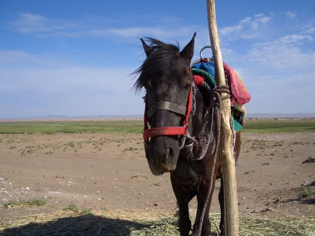 3日目の旅行記（その1）です。<br /><br /><br />敦煌（ドゥンファン／Dunhuang）2日目はいわゆる敦煌の有名な観光地の郊外観光に向かいます。<br />今日、観光するポイントはツアーで行きたいところをアレンジしてもらって漢長城（ハンチャンシャン／Hanchangcheng）、玉門関（Yumenguan）、陽関、敦煌古城です。<br /><br />まずは漢長城へ向かいました。<br /><br /><br />■中国・シルクロード周遊<br />■8/1/2005〜8/10/2005<br /><br />■1日目：中国東方航空で上海へ。国内線に乗り換え蘭州経由敦煌まで。<br />MU762　鹿児島13:30→上海浦東14:00（-1h）<br />MU2352　上海虹橋19:05→敦煌23:55（-1h）<br />＜Part1：中国入国・国内移動編＞<br />http://4travel.jp/traveler/jyshp/album/10031297/<br /><br />■2日目：敦煌市内観光、莫高窟、鳴沙山<br />＜Part2：敦煌・市内散策編＞<br />http://4travel.jp/traveler/jyshp/album/10031310/<br />＜Part3：世界遺産・莫高窟編＞<br />http://4travel.jp/traveler/jyshp/album/10031332/<br />＜Part4：月の沙漠・鳴沙山編＞<br />http://4travel.jp/traveler/jyshp/album/10031340/<br /><br />■3日目：長城、玉門関、陽関、敦煌古城を観光後、寝台列車で吐魯番へ<br />＜Part5：敦煌・定番観光編＞<br />http://4travel.jp/traveler/jyshp/album/10031476/<br />＜Part6：敦煌故城・鉄道移動編＞<br />http://4travel.jp/traveler/jyshp/album/10031506/<br /><br />■4日目：アイディン湖、蘇公塔、カレーズ民俗園、交河故城<br />＜Part7：世界で2番目に低い湖・アイディン湖編＞<br />http://4travel.jp/traveler/jyshp/album/10031667/<br />＜PART8：吐魯番・定番観光編＞<br />http://4travel.jp/traveler/jyshp/album/10031788/<br /><br />■5日目：火焔山、高昌故城、アスターナ古墳群、ベゼクリク千仏洞、タクラマカン砂漠、ウイグル民家訪問<br />＜Part9：吐魯番・周辺観光編＞<br />http://4travel.jp/traveler/jyshp/album/10031892/<br />＜Part10：世界で2番目に大きい砂漠・タクラマカン砂漠編＞<br />http://4travel.jp/traveler/jyshp/album/10031968/<br /><br />■6日目：吐魯番景区観光後、車で烏魯木斉へ。天池観光、市内観光<br />＜Part11：吐魯番景区編＞<br />http://4travel.jp/traveler/jyshp/album/10032072/<br />＜Part12：中国のスイス・天池＆烏魯木斉編＞<br />http://4travel.jp/traveler/jyshp/album/10032178/<br /><br />■7日目：烏魯木斉市内観光<br />＜Part13：烏魯木斉・市内編＞<br />http://4travel.jp/traveler/jyshp/album/10032266/<br />＜Part14：烏魯木斉・バザール編＞<br />http://4travel.jp/traveler/jyshp/album/10032363/<br />＜Part15：烏魯木斉・夕景編＞<br />http://4travel.jp/traveler/jyshp/album/10032462/<br /><br />■8日目：中国東方航空の国内線で烏魯木斉から上海へ、到着後観光。<br />MU5632　烏魯木斉13:55→上海虹橋18:20（+1h）<br />＜Part16：烏魯木斉・上海移動編＞<br />http://4travel.jp/traveler/jyshp/album/10032592/<br />＜Part17：上海・夜景編＞<br />http://4travel.jp/traveler/jyshp/album/10032891/<br /><br />■9日目：豫園、老西門、東台路、新天地、南京路、外灘、浦東<br />＜Part18：上海・定番観光編＞<br />http://4travel.jp/traveler/jyshp/album/10032958/<br />＜Part19：上海・市内観光編＞<br />http://4travel.jp/traveler/jyshp/album/10033729/<br />＜Part20：上海・浦東地区編＞<br />http://4travel.jp/traveler/jyshp/album/10033848/<br /><br />■10日目：中国東方航空で帰国の途、上海から鹿児島へ。<br />MU761　上海浦東9:55→鹿児島12:40（+1h）<br /><br />■Photolibrary<br />http://www.photolibrary.jp/search/in_artist.cgi?p=%C3%E6%B9%F1&amp;aid=69