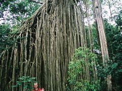 Atherton Tableland