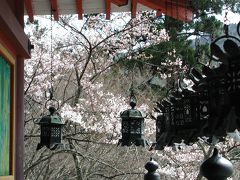 奈良　談山神社から甘樫の丘へ（１）