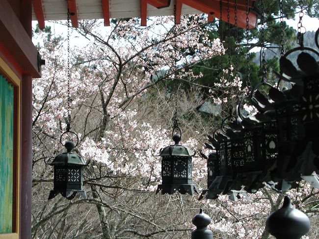 桜満開の4月上旬。桜を巡って飛鳥の山里を歩いてきました。<br />JR奈良駅から桜井線に乗って桜井まで行って、そこから談山神社までバスで行きました。桜井駅ではバスまでの待ち合わせ時間があったので、街中を散策しましたが、材木の街らしく製材所が点在し、鎮守の神社では桜が満開でした。<br />談山神社では桜は少し早めでしたが、早咲きの枝には桜が咲いていました。神社の周囲は人も少なく閑散とはしていましたが、多武峰観光ホテルで昼食と摂ったのち、談山神社を参拝し、そして飛鳥に向けて山里のハイキングへと出発しました。多武峰の峠を越えると金剛山や葛城山が良く見えました。<br /><br />【コース】<br />JR奈良駅ー（桜井線）−桜井ー（バス）−談山神社ー多武峰観光ホテル（昼食）−多武峰ー飛鳥へ向けてハイキング（以下続編）<br />