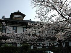 奈良ホテルと奈良公園