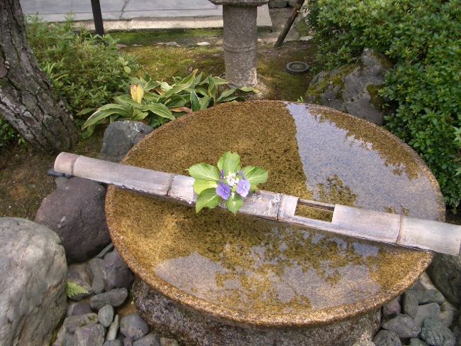 お庭が見たくて京都行 京都の旅行記 ブログ By あんさん フォートラベル お庭が見たくて京都行 京都の旅行記 ブログ By あんさん フォートラベル