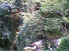 ひっそりとした山里の風情を残す湯西川温泉は・・・