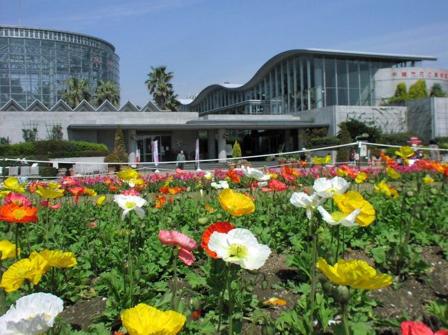 こんにちは! いつもこの「花の美術館へ」に来場いただき誠にありがとうございます。<br /><br /> 今回はいつもの美術館から離れまして 季節の花 ”バラ ”探訪に行ってきましたので オンパレード で展示いたします。<br /><br /> もし、お気に入りで良かったとお感じになられましたら、一番最後の人気投票に スイッチ ポン をお願いします。<br /><br /><br /> 花の姿を探し、その麗しい所を認め、花をめでる気持ちをもつことは自分の命が潤っていることの証です。<br /><br /> どうぞ、花達の懸命な装いを見てやって下さい。<br /><br /> 花の美術館 JR 総武線稲毛駅 京成線稲毛 美浜海浜公園