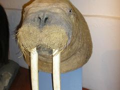 In Longyearbyen rest