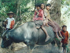 MYANMAR..軍事政権下に生きる人々.