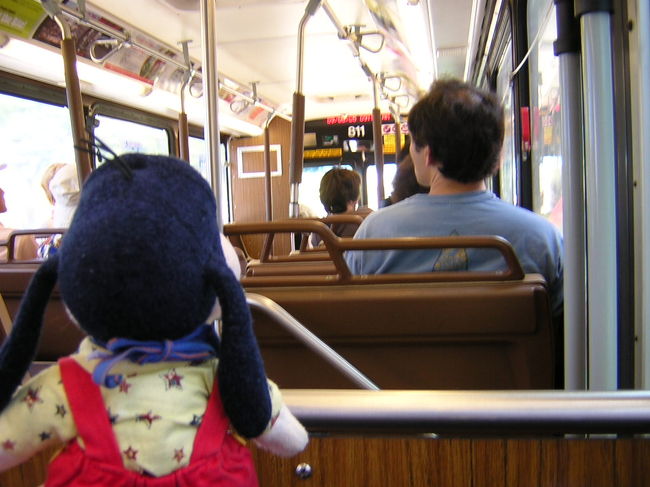 グーちゃんだよ。<br />今日はダウンタウンに行く事にしたの。<br />ザ・バスで２番に飛び乗って、さあレッツゴーなの！！