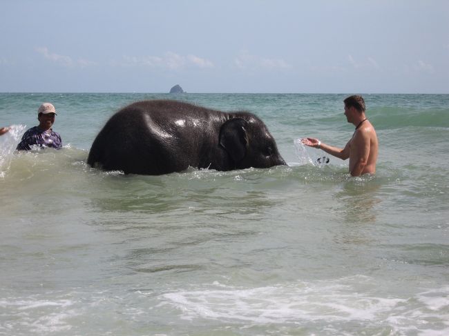 海でぞうさんと遊びました！象が海に潜るなんて知らなかった！鼻だけ水面に出してかわいい！<br /><br /><br />ブログはじめました。<br />よかったら遊びに来てくださいね！<br /><br />アラサー女の珍ライフ<br />http://meru103.blog42.fc2.com/