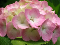 世界漫歩 168 欧州中央の雄都ブダペスト