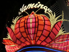 ラスベガスに行きました。