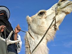 アフリカ地中海の道?トワレグ族