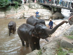 タイのチェンマイは良いとこで～す！