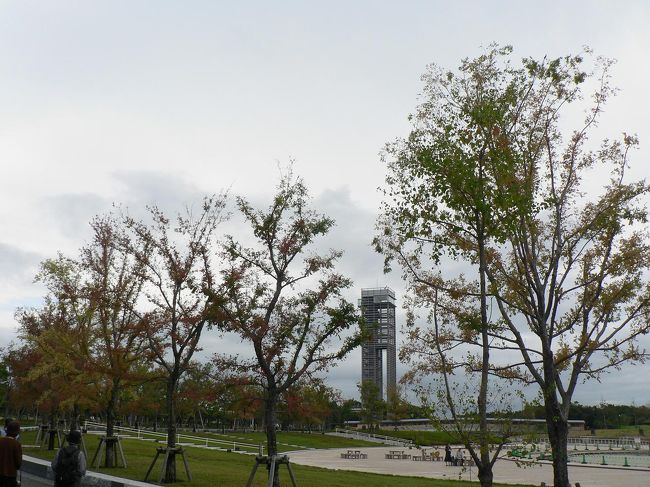 ４月８日から１０月１１日まで開催された浜名湖花博の跡地が公園になりました<br />開催中は行きませんでしたが、最近テレビで秋の花が見事と盛んに放送しているので<br />紅葉にも早いし。。行くところもないし・・ということで<br />まだ雨の残る朝に出かけました<br />東名高速道路の浜松西ＩＣで降り、はまゆう大橋、浜名湖大橋などを通る<br />この道は本当に気持ちがいい<br /><br />この辺りに来ると花博のシンボルタワー展望塔が見えてきます<br />広大な敷地の駐車場に車を入れて公園へ<br />総面積５６haと広い<br />高額な金額を取る公園にするという意見もあったようですが<br />入場料無料の県の公園になりました<br />展望塔は３００円<br />今も花博のメインがそのまま残されていました<br />「百華園」「モネの庭」「展望塔」「国際庭園」<br />
