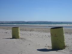 スキューバダイビングで気絶？！　＋　クジラ鑑賞　in　ポートマドライン