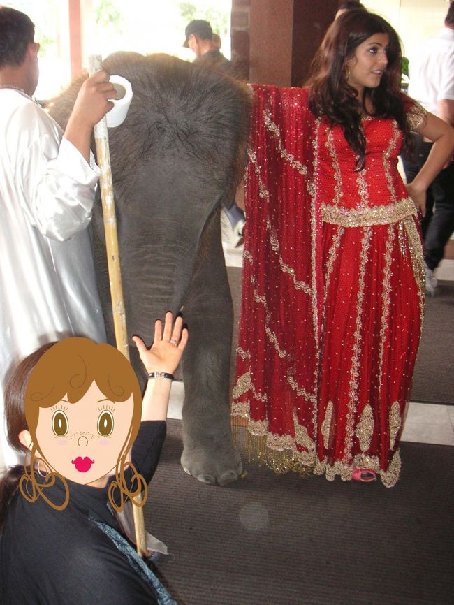 本当なんです！バンコクのホテルのエントランスにかわいい象さんとどこかのプリンセス？が来たんです。。