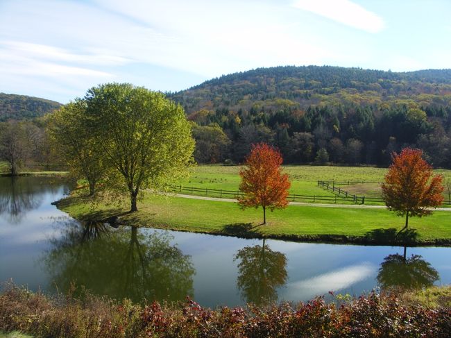 2005年10月、バーモント州をドライブしようと出かけた中、小さい町だけど、きれいなところだという情報を見て、立ち寄ったGrafton。<br />周囲の紅葉の残る山林、街なかの建物、庭、近くを流れる川と、きれいな風景だった。