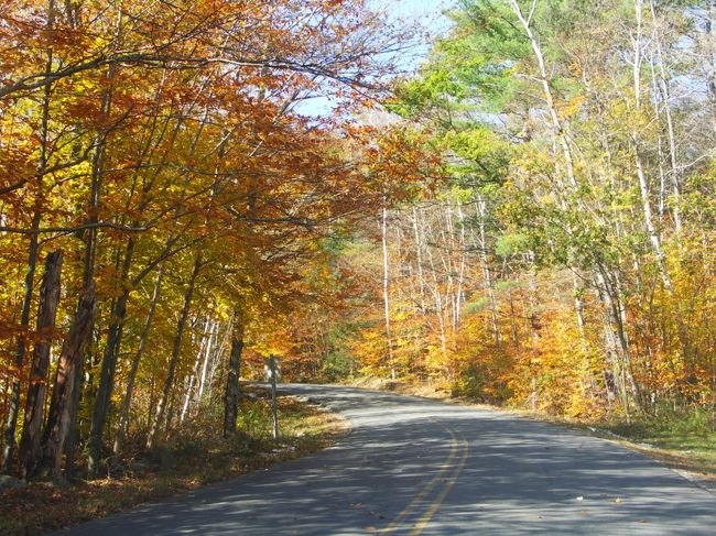 2005年10月、レンタカーでドライブしたバーモント州。葉の落ちた木々の風景の中、所々に黄色や赤の葉の風景が顔を出す。先週雪が降ったらしくその跡も道路脇に。Grafton近くから、100号線北上をメインに、一部、前日の夕方、Alexandria Bayから通ったAdirondack Mountainsなどのニューヨーク州、1泊したWest Lebanonのニューハンプシャー州、Burlington, Lake Champlain, Plattsburghの風景も。