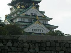 菊を見てきました