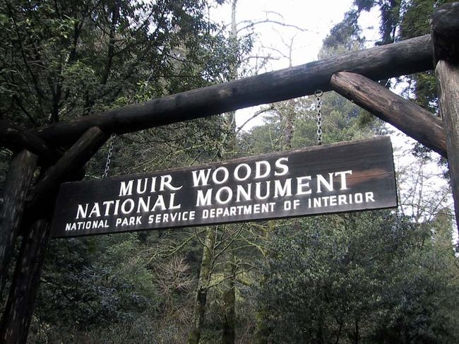 雨上がりのMuir Woods National Monumentです。<br /><br />大都市サンフランシスコのすぐ隣に、これだけのレッドウッドの森が残されているのは偉大な事です。<br />太平洋がもたらす湿気と山の斜面が作り出したクリマの世界。<br /><br />朝9時過ぎに到着して、約2時間の散歩を楽しみました。