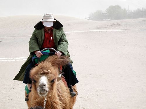 シルクロードの足跡～敦煌篇・其の1～』敦煌(中国)の旅行記