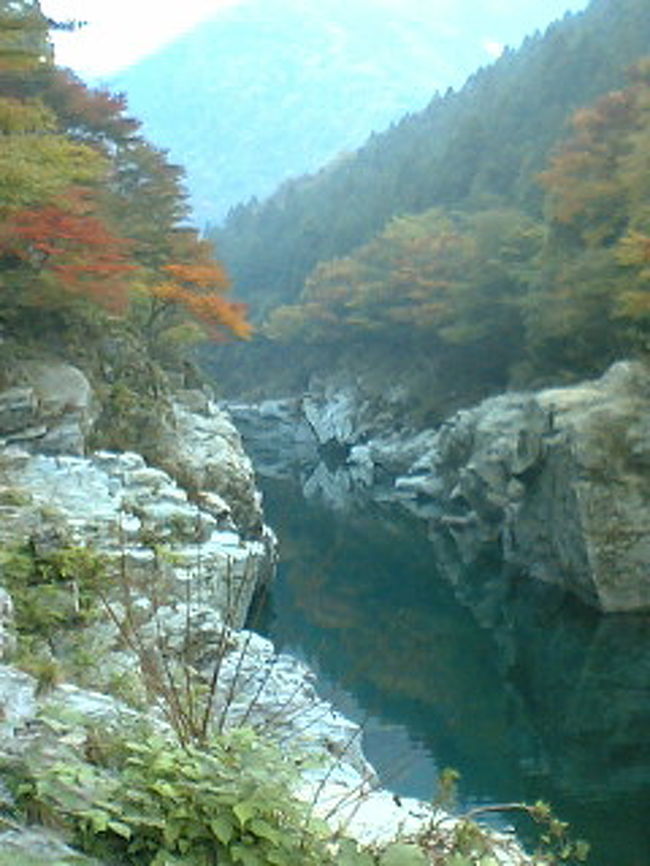 徳島の秘境、祖谷渓の紅葉を見に行ってきました。<br />紅葉には少し早かったですが、名物祖谷そばを食べ、かずら橋をわたり、絶壁の小便小僧をみて、温泉露天風呂につかって．．．とーっても満喫しました！大満足です。