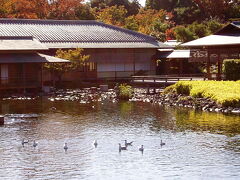 2005秋@白鳥庭園