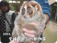 愛媛県立とべ動物園