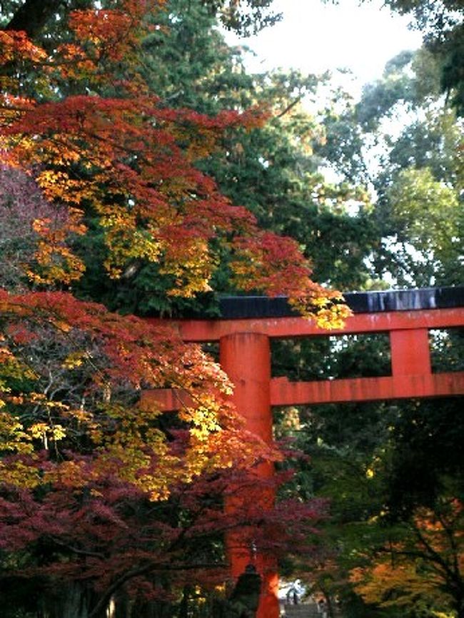 手向山八幡宮の紅葉 奈良県の旅行記 ブログ By ソフィさん フォートラベル