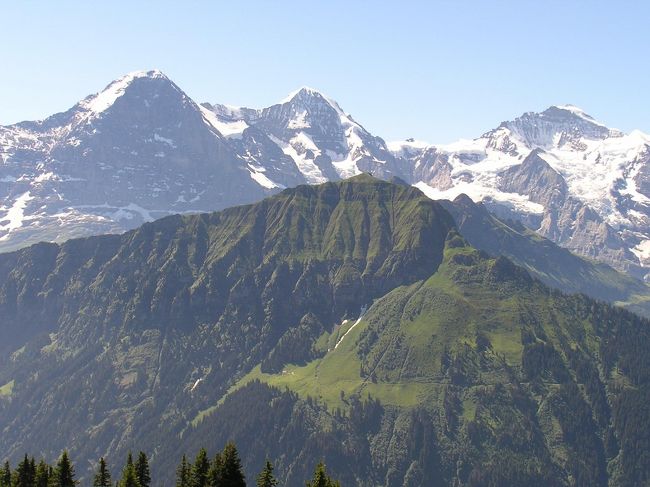 ２００３年に訪れたスイスアルプスハイキングでは前半の５日間は快晴が続きユングフラウ地区の山々は素晴らしい姿を見せてくれた。<br />ユングフラウ地区にあるユングフラウ、メンヒ、アイガー等はユングフラウヨッホ展望台及びメンリッヒェン等から個々の山容を間近に見るのも良いが、少し離れたシーニゲプラッテ等から見るのも中々のものである。　というのは山々の位置関係がよーくわかり、個々の山の特徴が対比されて見やすいからである。　しかも低倍率のズームレンズ付きのデジカメでも良くわかる。　ここでは１０倍の光学系ズームレンズ付きのデジカメと３倍のズームレンズ付きのデジカメの二台を使用して撮影した写真を纏めてみた。　というのはシーニゲプラッテに来てから二台のデジカメについてはどちらかを主にして今後は撮影していく必要があり、迷った一日であった。　それでここでは３倍ズーム使用の場合の旅行記をその?とし、１０倍ズーム使用の場合の旅行記をその?とした。<br /><br /><br />＊写真は手を繋いでいるように見えるユングフラウ三山・・・左からアイガー、メンヒ、ユングフラウ