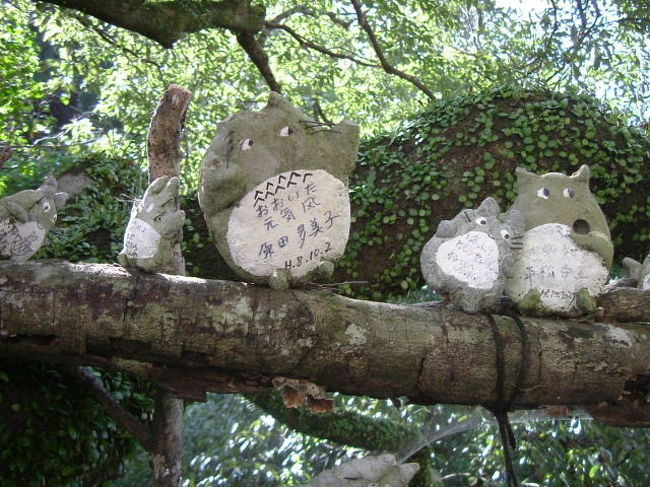 トトロの森と原尻の滝 大分県の旅行記 ブログ By チカコさん フォートラベル