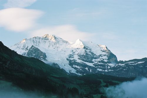 地球の歩き方 スイス 95-96年版 地球の歩き方 スイス 95-96年版 地球の歩き方 スイス 95-96年版