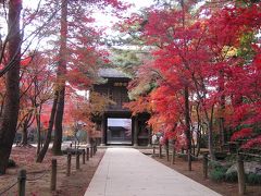 平林寺の紅葉を訪ねて