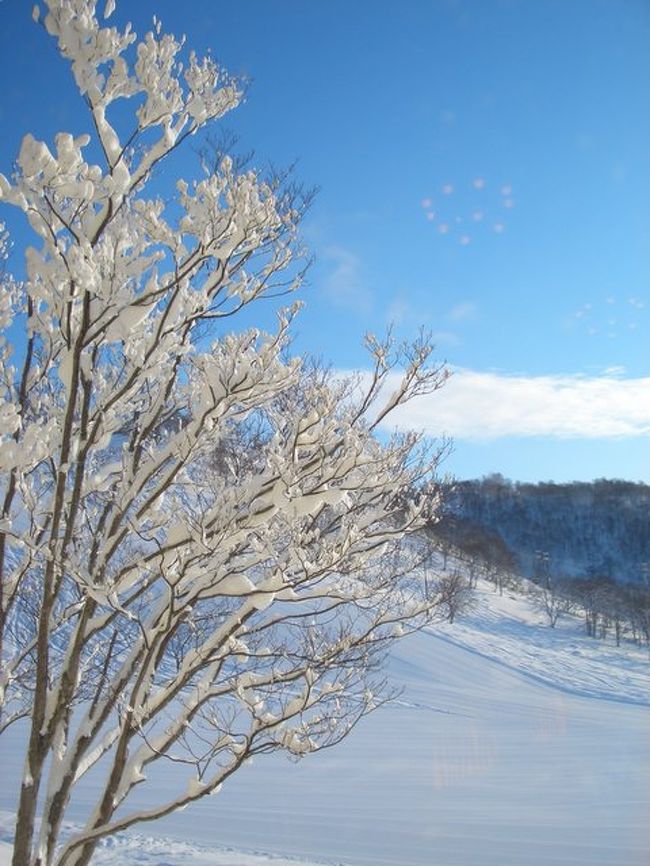 2005/2006シーズン突入！というわけで、北海道ニセコに初滑りに行って来ました。雨男+雨女+雪女が集まり、天気予報でも暴風雪。しかしながら...
