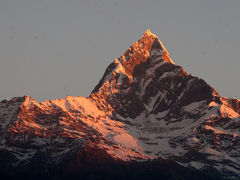 ヒマラヤ・ネパールの旅 6・・旅いつまでも・・
