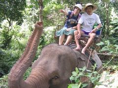 タイ・チャーン島　３　「初！象トレッキング体験」の巻