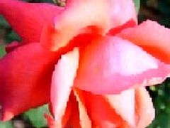 ヨーロッパに新幹線時代がやって来た【7】ＥＵの熱心さ　フランス・スペイン連絡そしてスカンジナビア