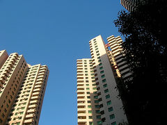 上海の冬の空は真っ青！！