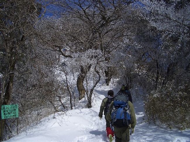 積雪後の神奈川県大山（おおやま）に登って来ました。<br />登りはともかく、下りの積雪の多さに難儀しました。<br />ちょうど「大山とうふまつり」に当たり、下山後も楽しめました。