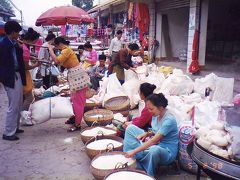 中国・雲南省の旅(４) 【西双版納】