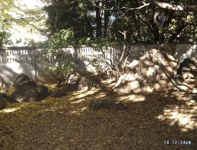 (この画像は泉岳寺から程近い旧細川邸の庭先の自決場所の一つ。<br />この場所の中央にある平らな石の置いてある箇所が大石内蔵助良雄の切腹した場所 普段は門が閉ざされ12月14日のみ、門が開き公開される)<br /><br />・・・・・・・・・・・・・・・・・・・・・・・・・・・・・・・・・<br /><br /><br />赤穂義士の討ち入りの12月14日が近くなってきたので<br />今年もこの時期、泉岳寺で執り行われた赤穂義士の法要に参加した時のレポートを巻頭に持ってきました.<br /><br /><br />いつも画像が一枚も無い私の旅行記ですが今回は数葉の画像と共に大石内蔵助以下 十数人が自決した旧細川邸の自決現場の画像を表紙画像に載せました。ここは普段は門は固く閉ざされ非公開の場所ですが十二月十四日だけは門が開かれ、今は庭石のようなものが置かれているだけの場所ですが、 正直云って、霊感の殆ど無い私でさえも、かなり涼やかな霊気を感じてしまうような、或る意味、とても不思議なちょっと怖さすら感じさせるパワースポットでした。(ー_ー)!! (大きな置石がある場所が切腹した場所だという事です)<br /> <br />更に云えば一番最後の画像<大石内蔵助以下 十数人が自決した旧細川邸の自決現場>に何人もの苦しそうな表情の顔が見えると、リアルな友人の何人かに言われたけど(ホンマかいな??)、云われてみればそんな感じの顔の陰影が岩陰や木漏れ日の陰影の中に見えるような気がしない訳でも無い。(';')オイオイ( ^)o(^ )頼むよ〜〜<br />300年の時空を超えても彼等の魂は未だに成仏もせず彷徨っているのか?!<br /><br /> ・・・・・・・・・・・・・・・・・・・・・・・・・・・<br /><br /><br />さてお馬鹿な話はここまで〜法要参列レポートはここからです。<br /><br />毎年、12月14日、この日の高輪・泉岳寺は幾多の供養に参る人波が途絶える事の無いほどに賑やかになる。この日は泉岳寺最大、且つ泉岳寺の檀家でも最強の人気を誇る赤穂義士の討ち入りの日として知られている<br />。<br />云わずと知れた元禄15年(1702)12月14日未明の遺臣たちによる吉良邸討入りは300年を超えた現在でも歌舞伎や映画、芝居でも<忠臣蔵>としてドラマチックに脚色され広く多くの人々の心に訴え、そのストーリー展開は日本人の感性や国民性に非常にマッチして魂を揺さぶるもの多々あるのだろう。<br /><br />浅野氏が吉良氏を襲った江戸城・松の廊下刃傷の真相も未だに諸説紛々、イジメに対する逆襲、赤穂の塩に関する賄賂の要求に対する拒絶、或いは浅野氏の癲癇<てんかん>体質説、本当の真相は藪の中というミステリアスな部分もある。<br />以前 両国の江戸東京博物館で江戸城 松の廊下のジオラマというか、模型が展示されているのを観たことがあるが、L字型に折れた松の廊下は全長50M,幅も5Mも有ったらしい<br />。<br />私も齢を重ねるごとに所謂<忠臣蔵>に多大なる関心を持つようになってきた。たまたま仕事で深い付き合いの有った人が、毎年、12月14日には泉岳寺で執り行われる赤穂義士法要にしばしば参列していると伝え聞いて、私も是非にその法事に参列してみたいとお願いし同行する事に相成った。<br /><br />歴史モノにまったく頓着の無き配偶者からは「赤の他人の法事に参列してど〜すんのよ〜」と無慈悲で無粋な事を云われようと、法事に参列する四十七士の子孫達の様を通じて、三百年前の江戸の人々の心を奮わした事件に思いを寄せるのもタイムスリップしたような感覚が味わえそうでロマンが有って良いではないかと感じていた私は12月14日の法要参列を愉しみに待った。<br /><br />中央義士会という組織がある。ここは赤穂義士に関わる学術研究団体である。私は今回、この中央義士会が仕切る泉岳寺での12月14日の集まりに参加することになった。 参加費用はジャスト¥3000なり(*^_^*)<br /><br />この団体の長はN氏と云う、史実と物証だけに基づいた赤穂義士の研究と勉強をひたすらに数十年も続けているプロであり、その道ではかなり知られた御仁でもある。彼の書物を購入し、プロフィールを読めば、私と出身大学も出身学部も同じではないか!軽くシンパシーを感じる事も無くは無かった。中央義士会では<赤穂浪士>などとは言わない。あくまでも忠義を尽くした<赤穂義士>が本来の呼称だと考えている事が言葉の端々から感じとれた。<br /><br /><中央義士会>は赤穂義士研究の為の財団法人として泉岳寺にもきわめて深く食い込んでいるようで、泉岳寺の本堂で執り行われる厳かな法要にも参加費用を払った我々は参列出来るのだ。<br />大きなガラス戸から見える本堂の外は、とてつもない参拝の群集が文字通り押し合いし、誇張抜きで線香の煙で霞みがかかるほどの状況と喧騒の中で凛とした静寂な空気の佇まいの中の本堂にいる自分は軽い優越感を感じていた事を否定する事は出来ない(*^_^*)。<br /><br />かって観た事のないような立派過ぎるほどの巨大な祭壇に向かって左側の席には赤穂義士に連なる子孫の方々が三十数名参列されている。右側の席には中央義士会関係の我々ギャラリーが50〜60名は座っていた。やがておずおず袈裟を身に纏った僧侶達が巨大な本堂の四隅を固めるかのようにポジションを取りはじめた。いったい何人いるのだろう、、無粋で無遠慮な私は目で袈裟を着た僧侶の数を追いかけて数えてみた。その数は十数名! 更に祭壇の真正面に添えられた西陣織?のような美しい赤紫の生地で覆われた椅子に一人だけ高貴な紫の袈裟を着たヒトキワ貫禄のある僧侶が腰掛ける。おそらく泉岳寺で一番の大僧侶なのだろう。大僧侶が腰かけたところを合図にするかのように、本堂に朗々と響く読経が始まった。<br /><br />僧侶十数名による経読みの迫力はさすがだった。まるでステレオのようにお経があちこちから響き渡る。我が菩提寺での法要とはスケールも迫力も全然違う。(ー_ー)!!<br />泉岳寺が泉岳寺として全国的に認知されてる云わば泉岳寺を支えている赤穂義士の法要である。寺の力の入れ方もハンパではない。泉岳寺の数多い檀家の中でもスーパースター級の檀家なのだ。<br />この場にいるだけで参加費用¥3000の価値はあるなあ と妙な所で納得してしまう訳の判らない私である。実に良いモノを見せてもらったという感じです。30分以上!に渡るステレオ読経が終わり、法要は滞りなく終了した。皆が次の場所へ流れて行く中で、私はあらためて祭壇に近寄り、80cm!はあろうかと思われる今まで見たこともないような巨大な位牌を無遠慮に眺めては深い思いに耽ってみたりする( ^)o(^ )<br /><br />法事が滞りなく終わると泉岳寺内にある立派な集会施設に場所を移す。今度はN氏による講演会と懇親会、質疑応答である。この部屋に入場の際、銀座○○の松花堂弁当、大石家の家紋の入ったネクタイピン、ワンカップ酒、蜜柑の入った紙袋を渡される。三千円で法事に参列出来て。講演会を聴いて、更にこんなに物品サービスして貰っていいの??というのが正直な感想でした(*^_^*) さすがに翌年参加した時は松花堂弁当が二個入りの<赤穂の塩饅頭>に変わっていましたが(*^_^*)<br />とても正直な主催者曰く松花堂弁当だと赤字になってしまうそうな(゜゜)(。。)(゜゜)(。。)ウンウン 深〜〜く納得・・・しました。<br /><br />N氏の赤穂義士に関する新しい史実の開陳を含めた講演を聞いた。勉強熱心?な私はメモをとったりする。そのメモ書きを何処かに失してしまい(';')、講演の内容を詳しく書けない。記憶に残っているのはN氏曰く、今回新たに何処にも発表されていないまったく新しい史実を皆様に、この場で初めて開陳しますと重々しく前説で述べて語った事。いったいどんな赤穂義士に関する新事実が判明したのだろうと、ワクワク軽く期待したのが・・・( ^)o(^ )<br /> <br />その新しい史実とは四十七士がいざ、吉良邸に向かう直前に大石内蔵助が同士に与えて口に含ませたものに<なた豆>があったという話。何でも今でも高級な福神漬けなどに含まれているものらしい。ある種の強精作用、興奮作用があるという。ドーピング検査やれば引っかかるかも? ひるまずにパワフルに敵を倒してガンガン行けという事なんでしょうね。大石内蔵助 実にキメが細かい。<br /><br />ふ〜〜〜っむ、、赤穂義士研究家は実に様々な事でさえ調べに調べてその道の第一人者に成り得るのだなあと感じ入った次第である。映画やTVドラマなどで大河ドラマのような忠臣蔵の製作が始まると時代考証などへのアドバイスを求めて、しばしばN氏のもとへ番組スタッフが訪ねてくるという。そんな時に史実にはない、大石内蔵助の息子、大石主税に実は許嫁<いいなづけ>が居たかのような荒唐無稽なストーリー展開や蓮っ葉なシナリオを持って来られると史実に徹底的にこだわるN氏は激怒して番組の監修を降りたくなることもしばしばだと苦笑しながら云う。<br /><br />昼行燈(ひるあんどん)と揶揄された大石内蔵助は、実はリベンジを恐れる吉良側を油断させる為に復讐の素振りも見せず、芸者遊びを重ねたりしてわざと韜晦(とうかい)の術を使ったと思われる。更に大石内蔵助は幾度も幾度も同士の赤穂義士の本気度、忠誠心を試すが如く、討ち入りまで赤穂義士の振り落しテストを行い、百数十名の浪士はやがて四十七士に絞り込まれたという話もN氏から聴いた。裏門からの切り込みの大将として16歳の息子の大石主税を使い、三人一組でチームを作り一人の相手を確実に倒して行ったという。寝込みを襲われた吉良側の家臣は二十名が命を落とし、二十数名が怪我を負ったのに対し赤穂義士側は一人が軽い捻挫を負っただけで、全員無傷だったという。<br /><br />義士達は吉良邸討ち入り後、吉良邸の向かいの寺、<回向院>での休息を求めたが、関わりを強く恐れた回向院の門塀は固く閉ざされままだったという。彼等は明け方、両国の吉良邸から高輪の泉岳寺までのおよそ三里(12KM)の深く積もった新雪の道を20キロ近い武具を身に着けて3時間で歩き抜いたという。この時の最年長は熱血漢、堀部安兵衛の舅の堀部弥兵衛金丸齢77歳、、、籠に乗って移動したという話を聞いたことがある。<br /><br />浅野内匠頭の墓前に、槍に突き刺さった吉良上野介の首を一刻も早く差し出す為に考えられぬような、江戸時代の人はとんでもない早足です。バックパッカーだった私からみても20kのザックを背負い、おそらく膝まで埋もれるような新雪の中をそんな早足でなど絶対に無理です。その話を講師のN氏から聞いたとき、当時の積雪はどの位だったのでしょうか?と思わずN氏に尋ねたい衝動に駆られましたが、他の質問者との内容の落差が余りにも凄すぎるような気がして堪えました(*^_^*)<br /><br />およそ二時間に及ぶ講演と質疑応答を終え、この年の12月14日は300年前の江戸の町民を歓喜させたという歴史の深淵に触れる事の出来た、私にとってそれはそれは〜とても充実した一日と相成りえました。<br />