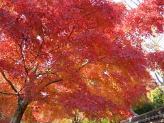 嵐山　天龍寺～竹林～常寂光寺　紅葉