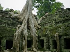 カンボジア訪問記１ 「巨木の根付く遺跡」タ・プローム