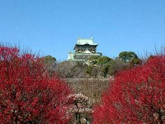 大阪城公園･梅林