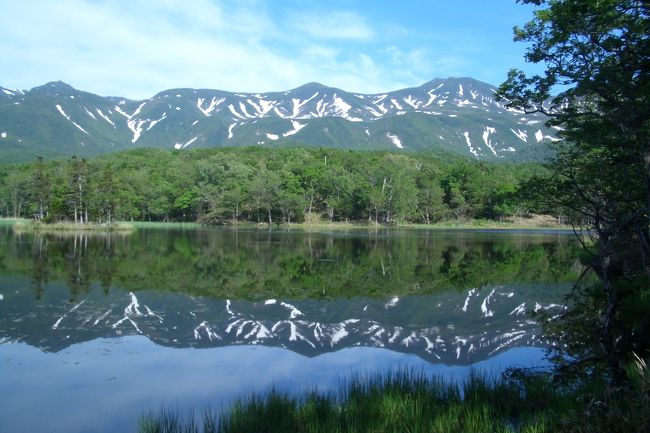 一人旅に初めてでてきました。<br />梅雨の横浜を離れ、北海道の知床、羅臼へ。<br />ドラマを観て、広さを体感したくて・・<br />本当は、失恋の傷を癒しにむしょうにどこかに行きたくなっただけです。