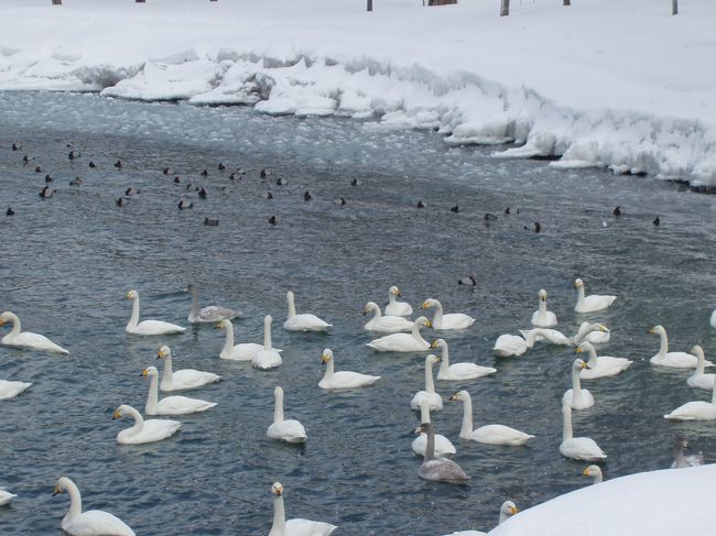 青森まで雪の中の露天風呂に入ってきました。豪雪地帯の方には申しわけないけど、ほんとに絶景で、思わずカメラを持ちこんでしまいました。今読んでいる高村薫の｢新リア王｣の舞台も青森です。